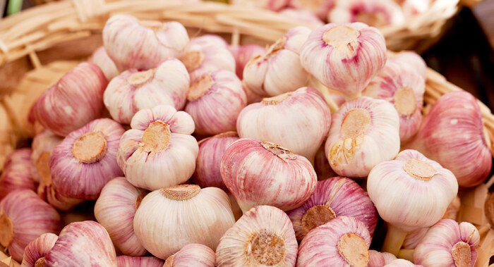 Knoblauch
